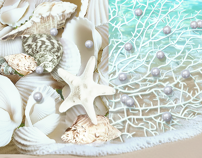 Conchas marinas flotantes - Natural - Blanco/Blanco roto - Con efectos de color aguamarina - Decoraciones de jarrones y Dispersión de mesa